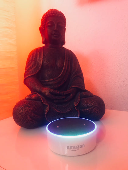 Steuerungen & Sprachassistenten